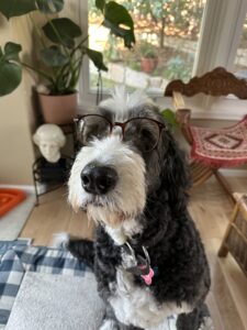 Plato wearing glasses.