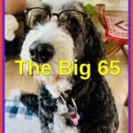 Karl Bruns-Kyler Medicare Broker