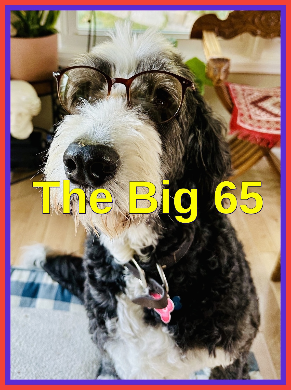 Karl Bruns-Kyler Medicare Broker