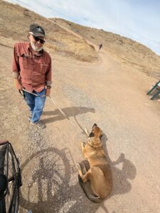 A man with a baseball cap on walking a dog.