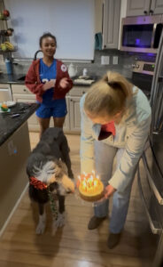 Quantz giving Plato his birthday cake as Miti watches.