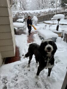 Miti in the backyard shoveling snow with Plato.