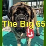 Karl Bruns-Kyler of The Big 65 Medicare Insurance Services.