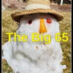 Karl Bruns-Kyler Medicare Broker