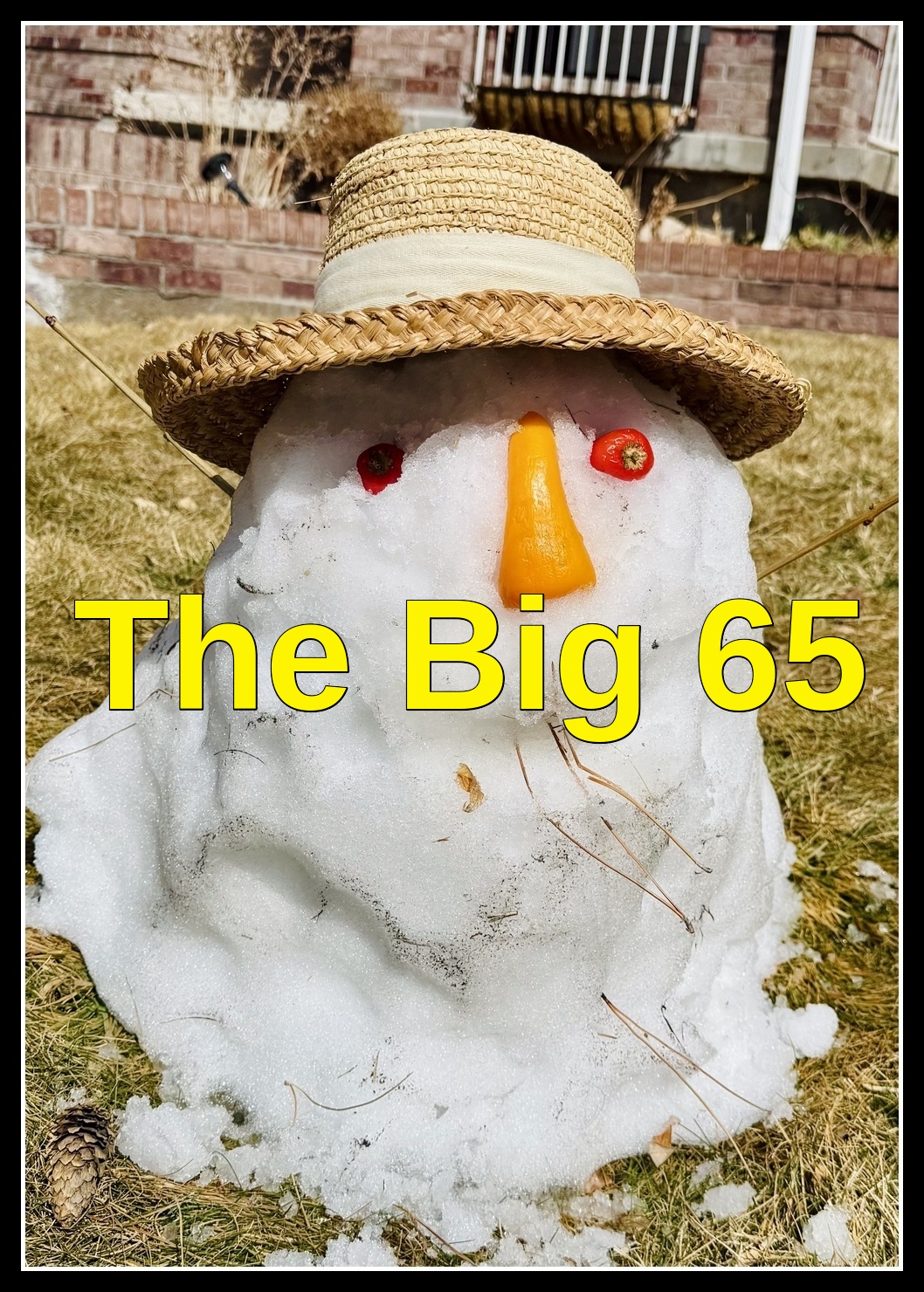 Karl Bruns-Kyler Medicare Broker