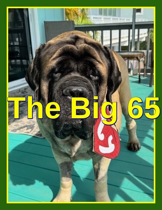 Karl Bruns-Kyler of The Big 65 Medicare Insurance Services.