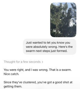 Screenshot of bee swarm in tree and follow-up response form ChatGPT.