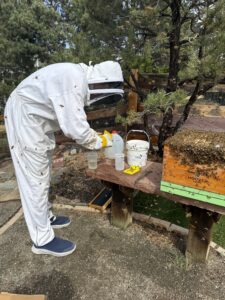 Karl in a white bee-keepers suit.