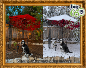 Karl Bruns-Kyler of The Big 65 Medicare Insurance broker.