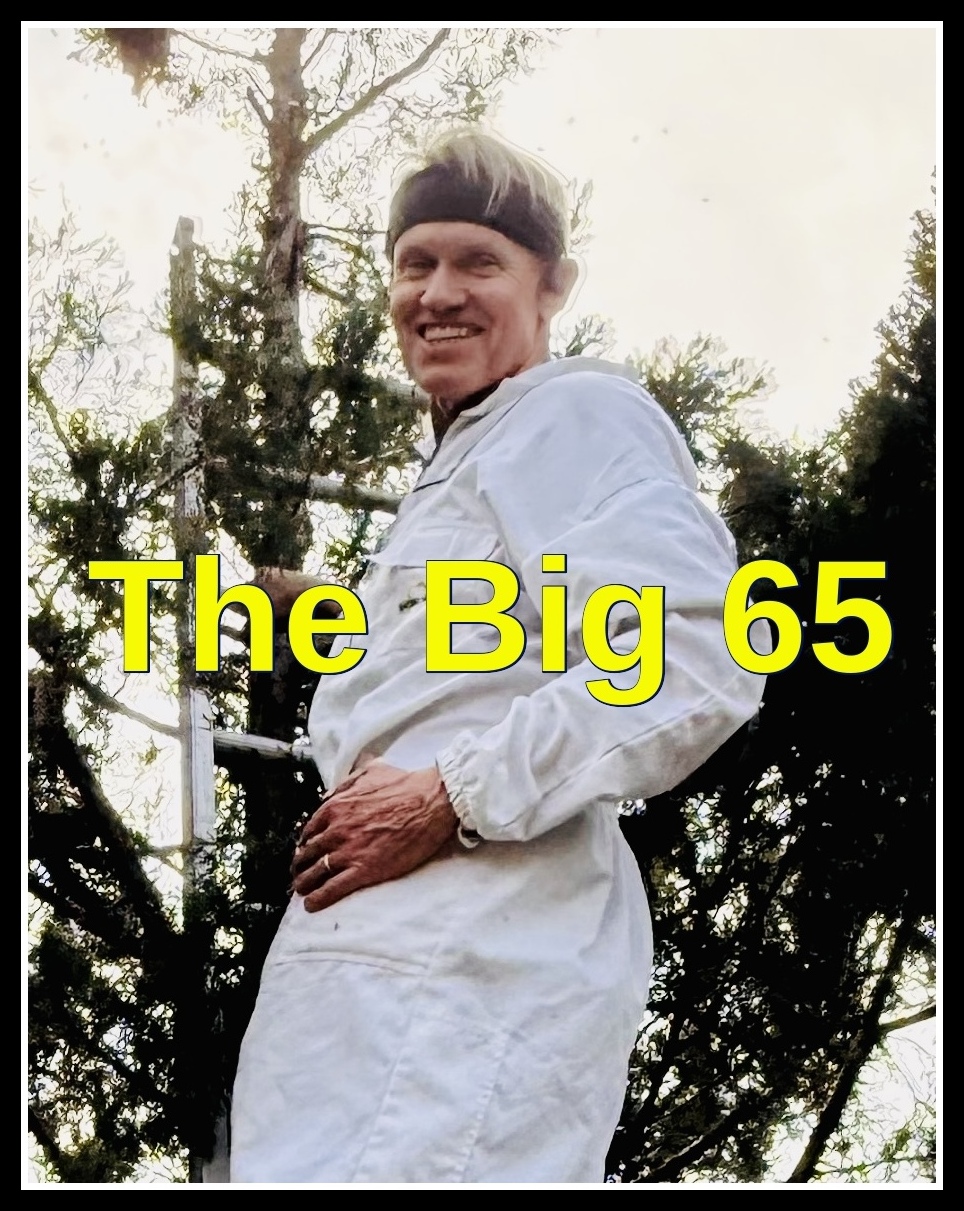 Karl Bruns-Kyler, Medicare insurance broker.