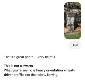 Screenshot of ChatGPT response to swarm question.