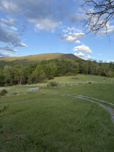 Laird's Knob, a mountain in the distance.