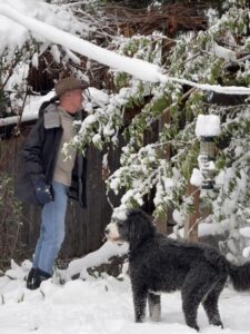Karl and Plato in the snow next to a pine tree.