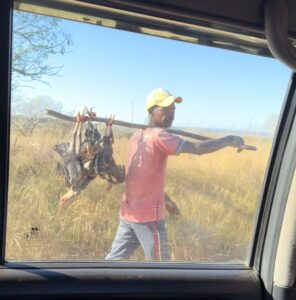 A man in a yellow hat carrying a stick full of dead birds on his right shoulder.
