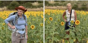 Quantz and Susanna in a field of sunflowers.