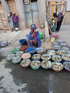 A person surrounded by pails of fish.