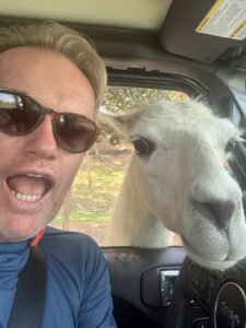 Karl and a llama take a selfie.