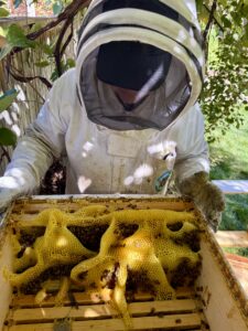 A beekeeper holding a hive.